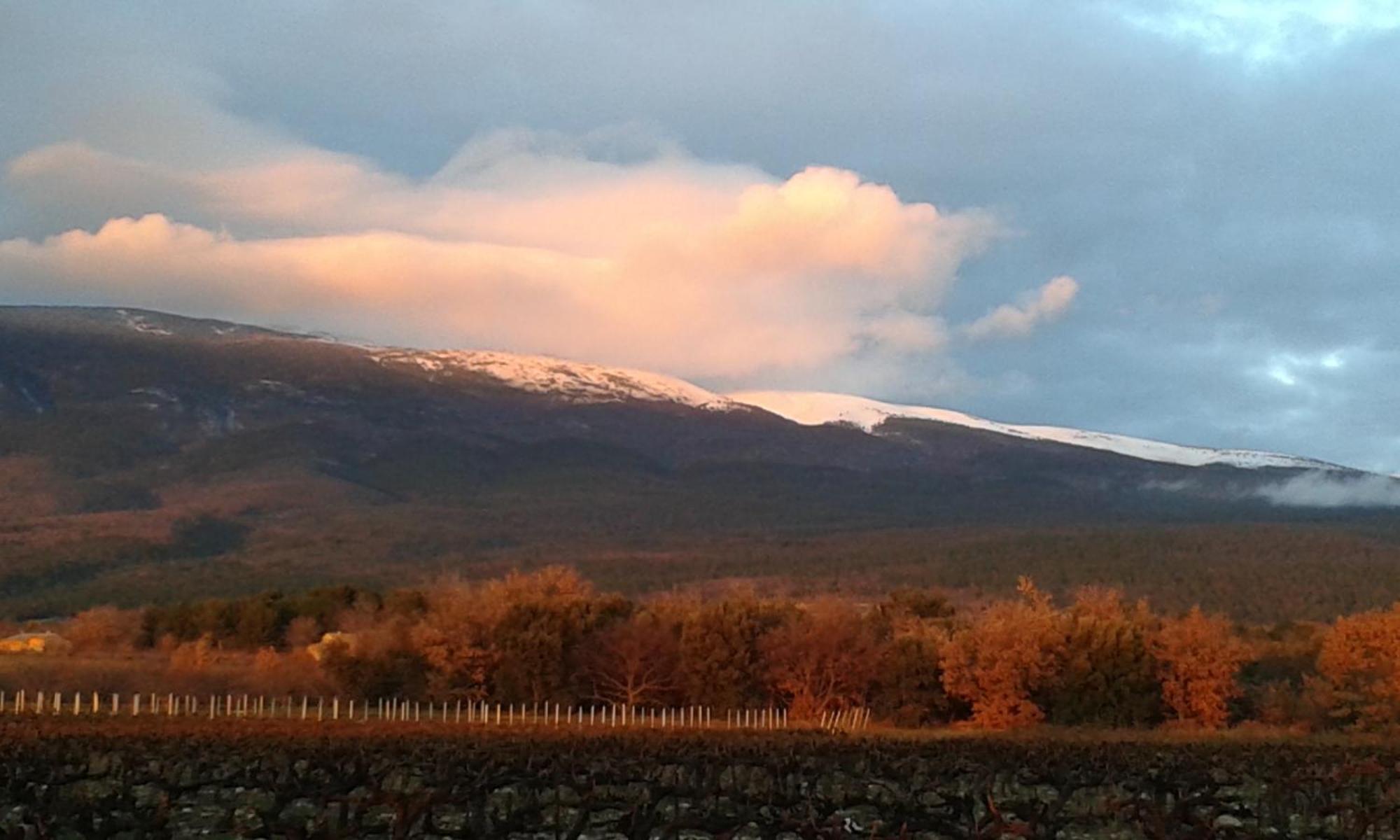 Casa de Férias La Carriera, Petite Maison Sud Ventoux, Au Charme Provençal