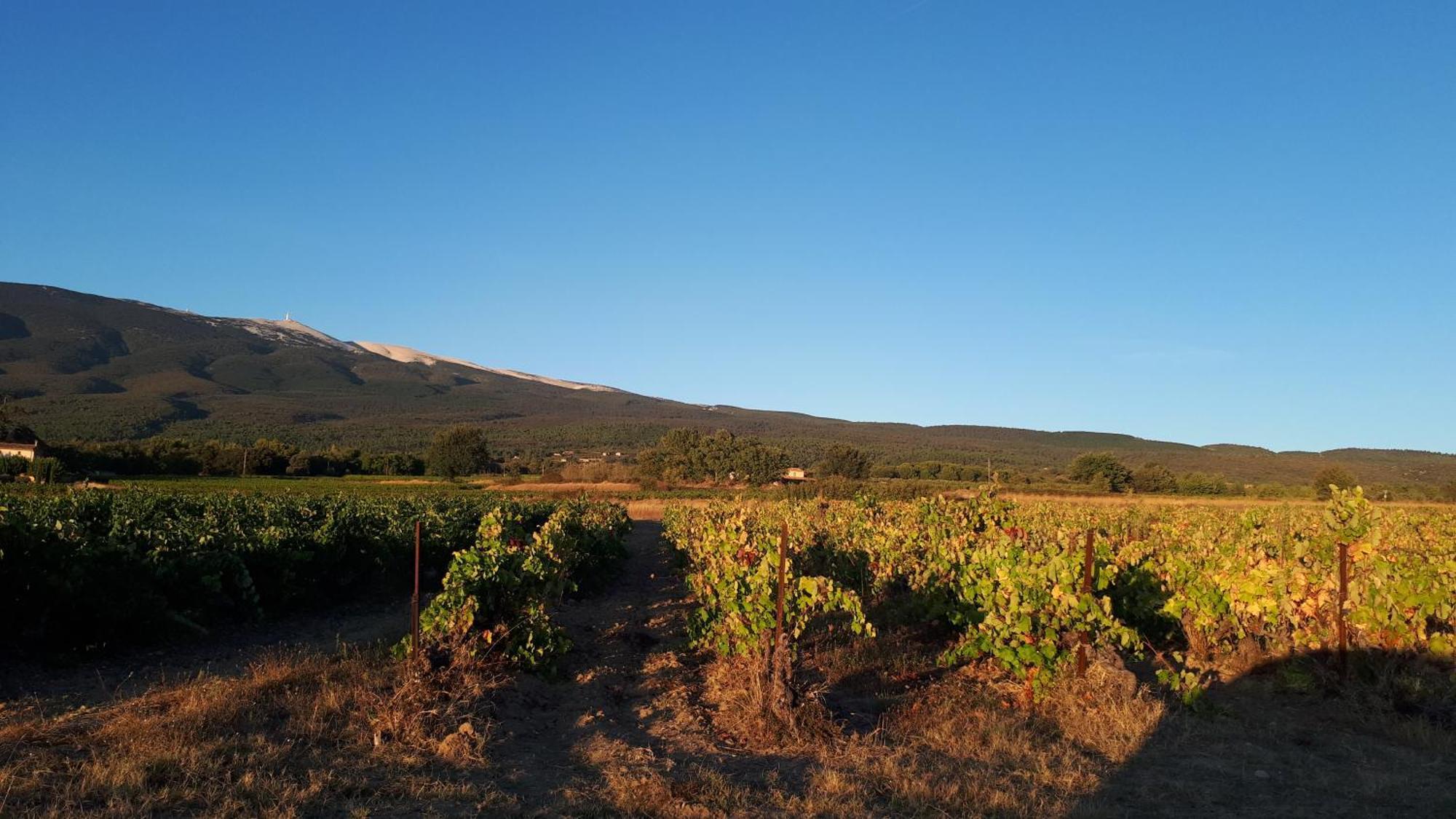 Casa de Férias La Carriera, Petite Maison Sud Ventoux, Au Charme Provençal