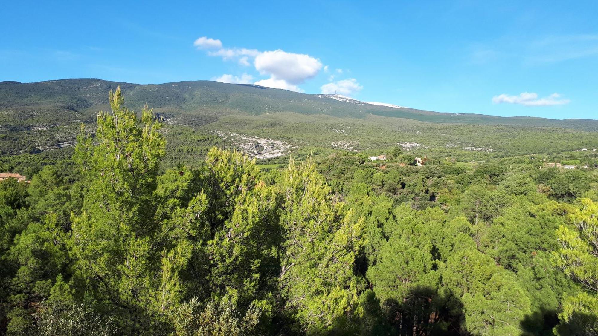 Casa de Férias La Carriera, Petite Maison Sud Ventoux, Au Charme Provençal